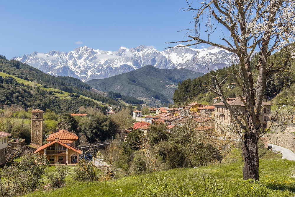 COMER EN LIEBANA