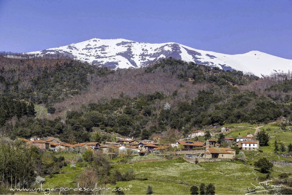 TORICES EN CABEZON DE LIEBANA