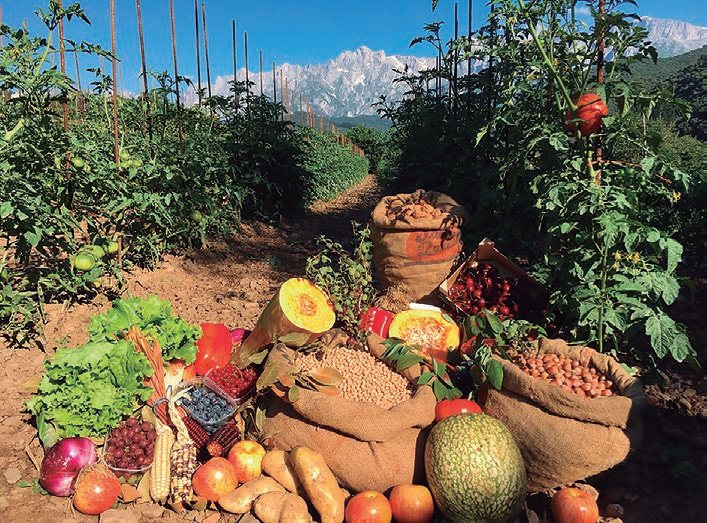 LEGUMBRES FRUTAS Y HORTALIZAS – turismo rural en Liébana y Potes, Cantabria