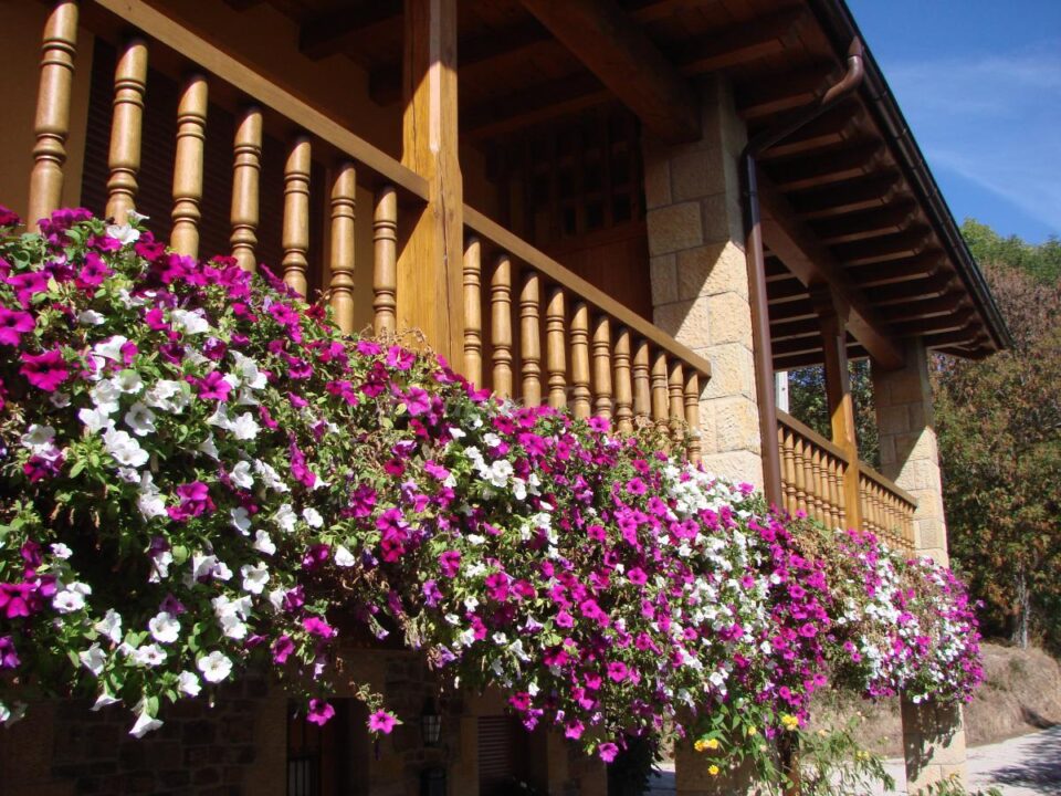 VIVIENDAS RURALES LA REAL DE PIASCA – turismo rural en Liébana y Potes, Cantabria