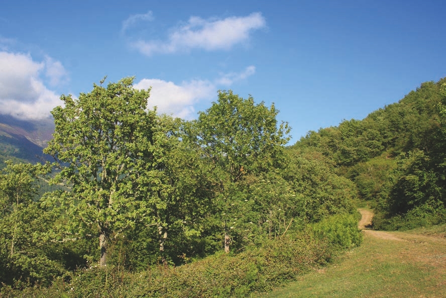 VALDEANIEZO – turismo rural en Liébana y Potes, Cantabria
