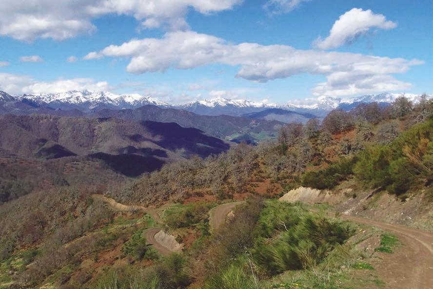 LAMEDO-PORTILLO DE BRAÑES – turismo rural en Liébana y Potes, Cantabria