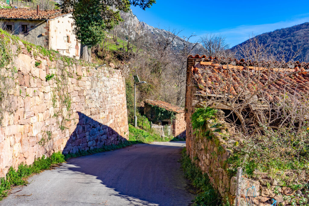Linares 3