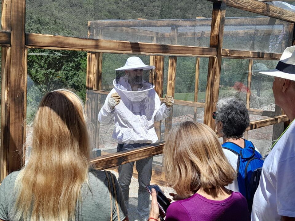 BEEXPERIENCE. CONOCE DE CERCA EL MUNDO DE LAS ABEJAS – turismo rural en Liébana y Potes, Cantabria