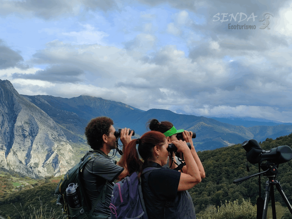 SENDA ECOTURISMO – turismo rural en Liébana y Potes, Cantabria