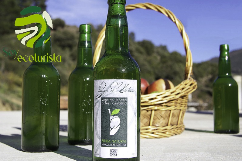 PAGO DE TOLINA – SIDRA NATURAL DE LIÉBANA – turismo rural en Liébana y Potes, Cantabria
